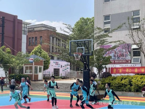 专业队篮球训练的费用是多少_1